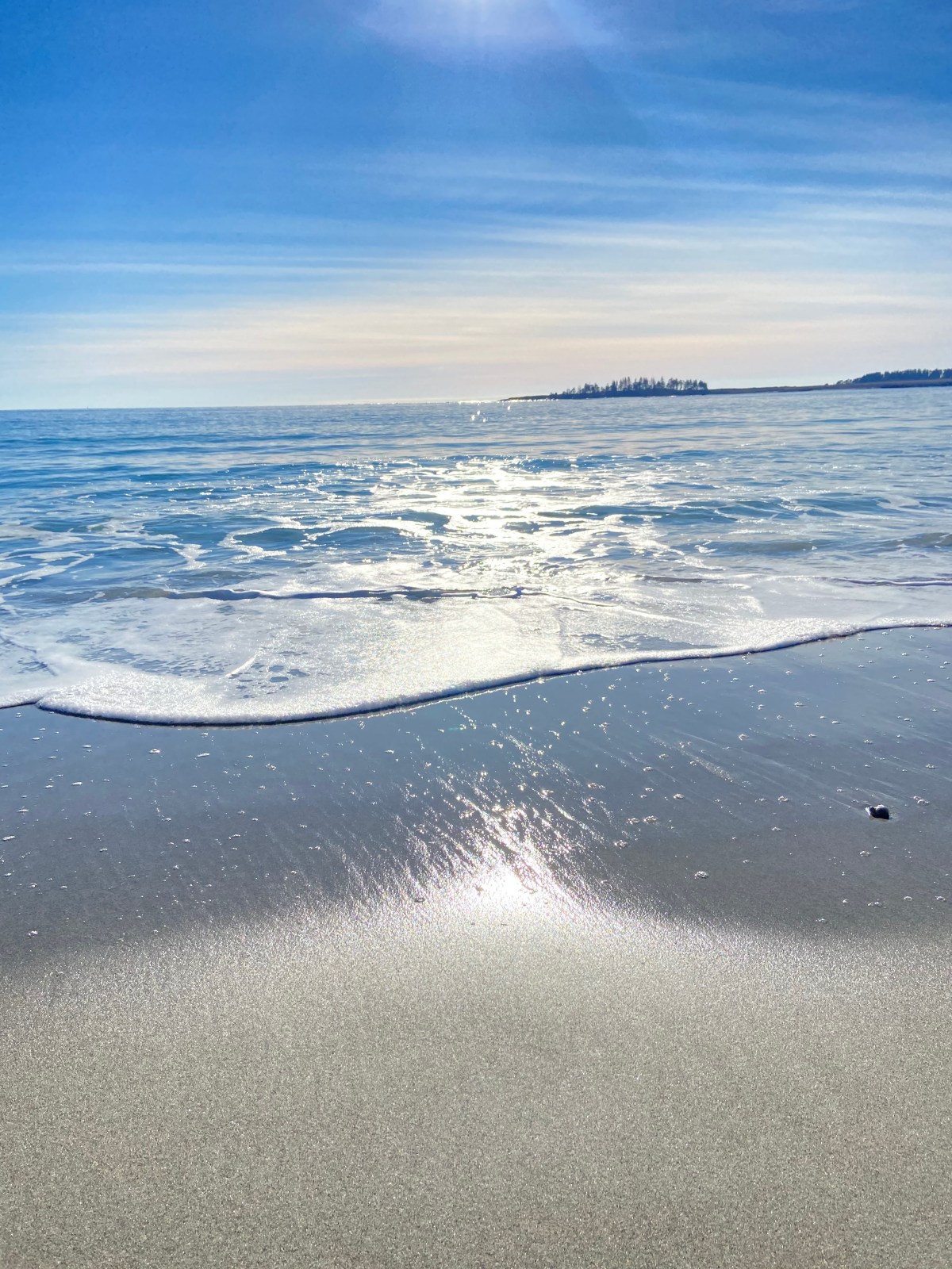 you are an&nbsp;ocean